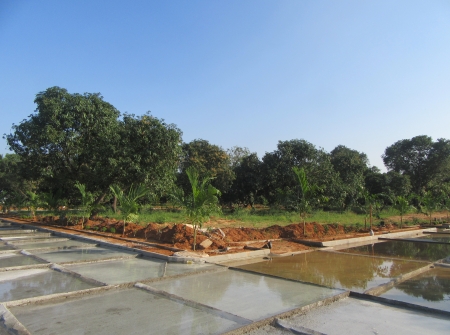 1) Li Id : 188 - Pic 2.JPG